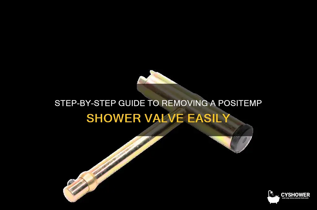how to remove a positemp shower valve