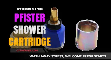 Easy Guide to Removing a Price Pfister Shower Cartridge