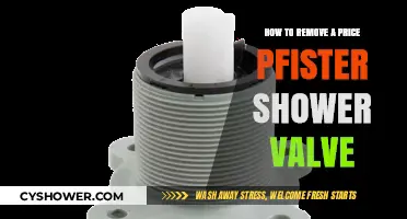 Easy Guide to Removing a Price Pfister Shower Valve