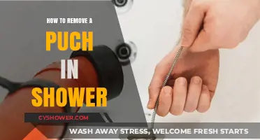 Effective Ways to Remove a Stubborn Puch in Your Shower