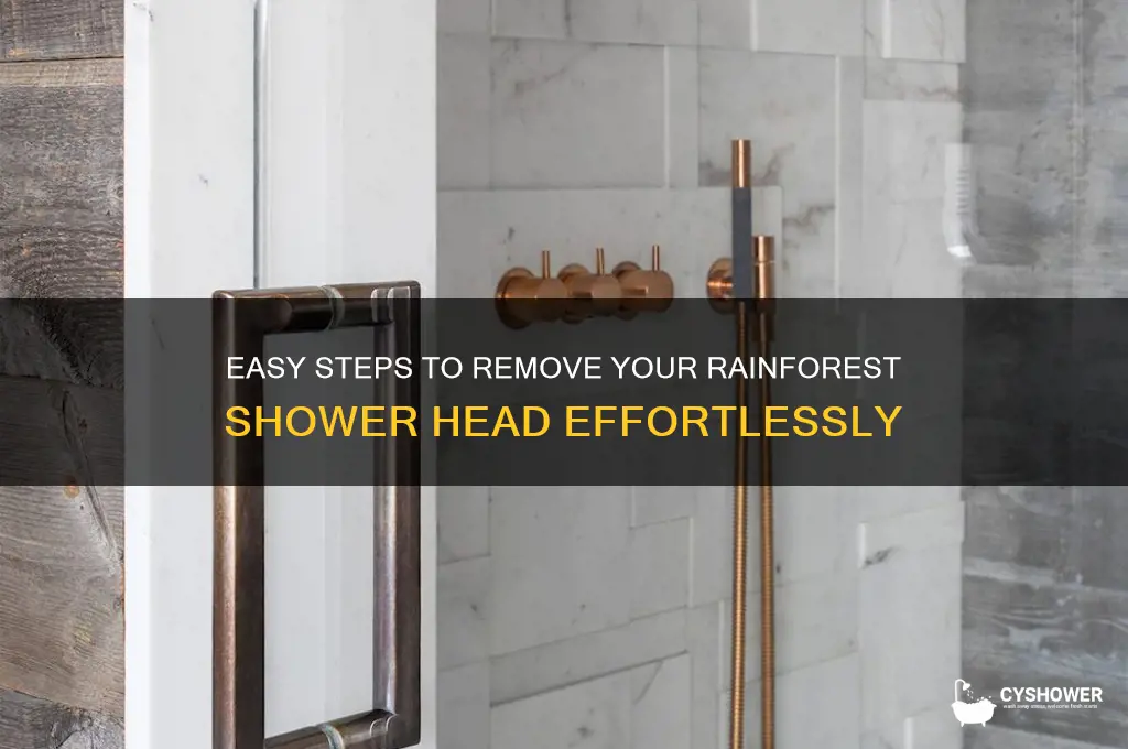 how to remove a rain forest shower head