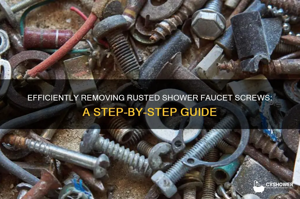 how to remove a rusted screw from shower faucet