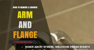 Easy Guide: Removing Shower Arm and Flange Step-by-Step