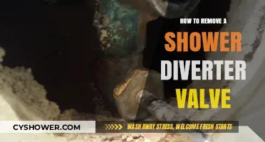Easy Steps to Remove a Shower Diverter Valve