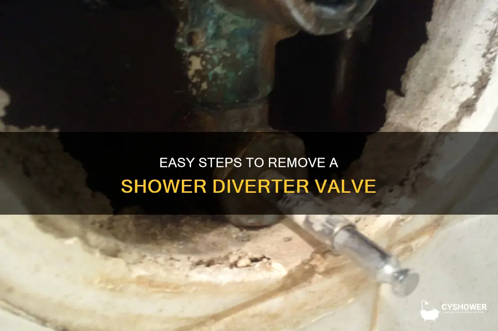 how to remove a shower diverter valve
