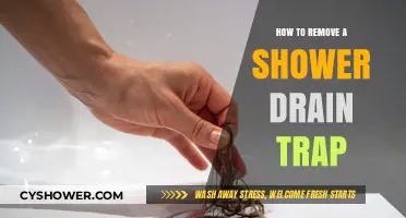 Easy Steps to Remove and Clean Your Shower Drain Trap