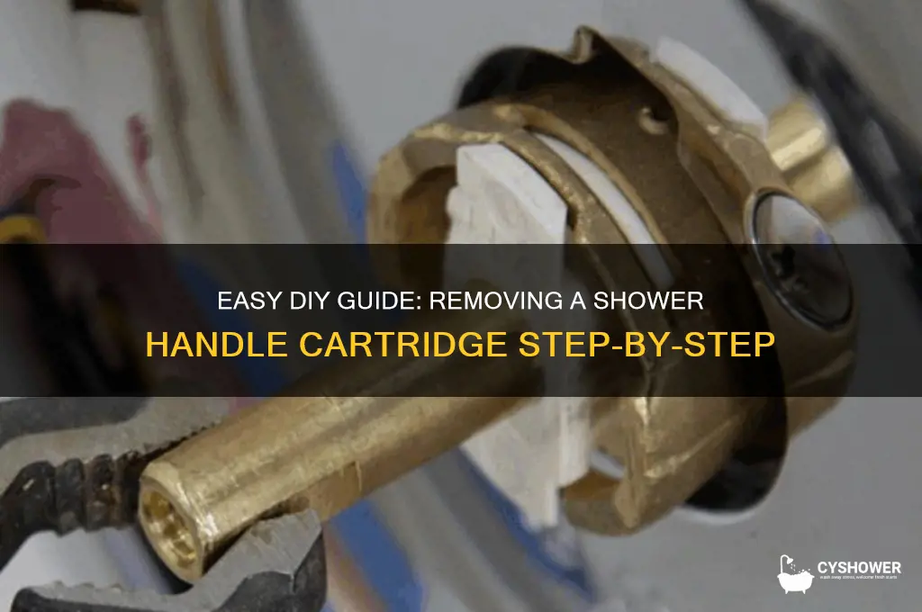 how to remove a shower handle cartridge