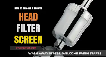 Easy Steps to Remove and Clean Your Shower Head Filter Screen