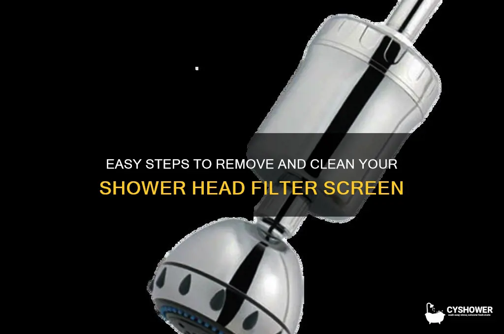 how to remove a shower head filter screen
