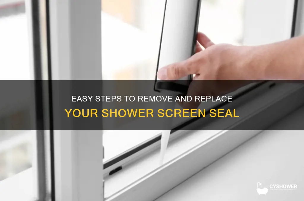 how to remove a shower screen seal