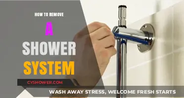 Step-by-Step Guide to Removing Your Shower System Easily