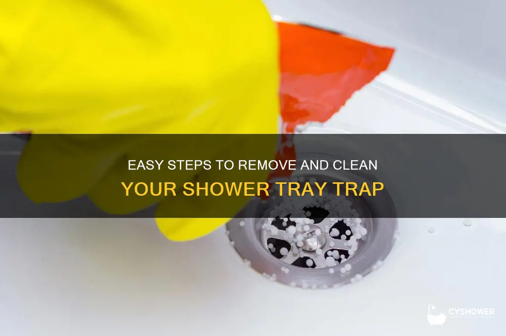 how to remove a shower tray trap