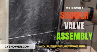 Step-by-Step Guide to Removing Your Shower Valve Assembly Easily