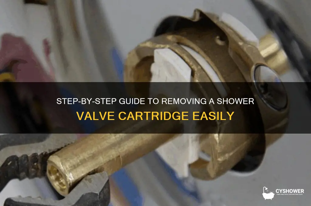 how to remove a shower valve cardridge