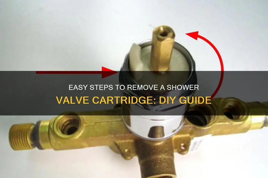 how to remove a shower valve cartridge