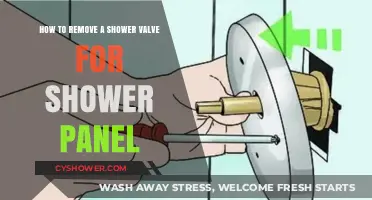 Easy Steps to Remove a Shower Valve for Panel Upgrade