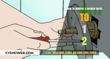 Step-by-Step Guide to Removing a 1/2-Inch Shower Valve Easily