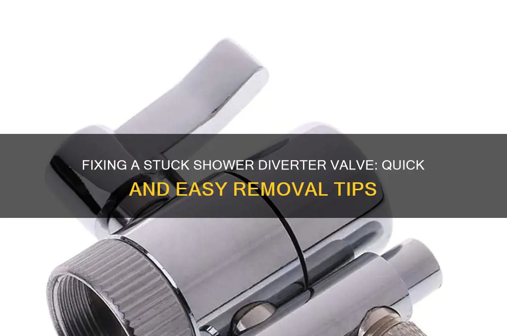 how to remove a stuck shower diverter valve