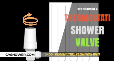 Easy Steps to Remove a Thermostatic Shower Valve