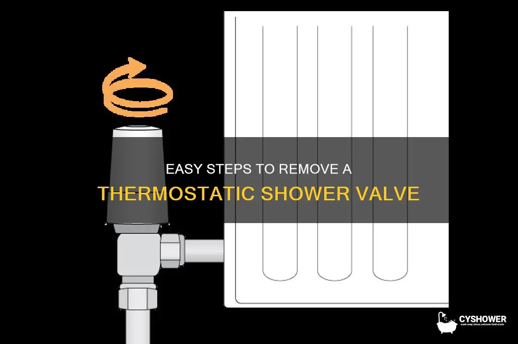 how to remove a thermostatic shower valve