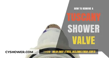 Step-by-Step Guide to Removing a Tuscany Shower Valve Easily