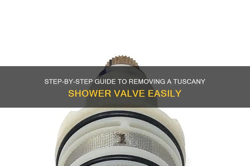 how to remove a tuscany shower valve