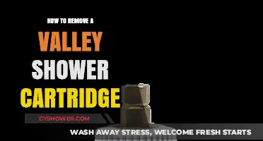 Step-by-Step Guide: Removing a Valley Shower Cartridge Easily