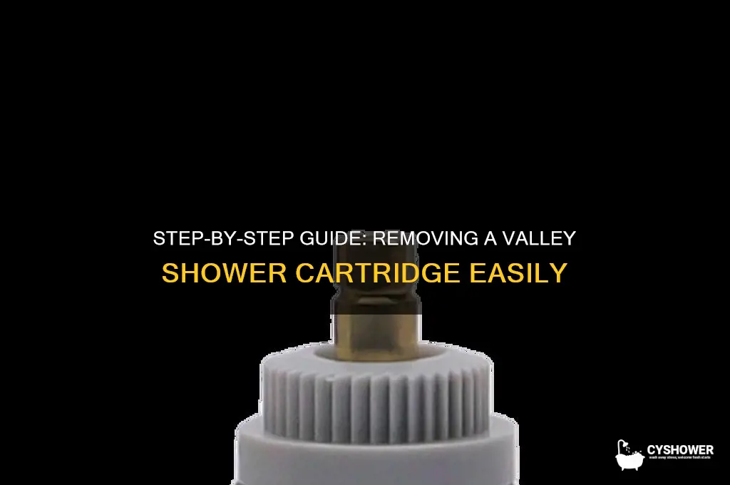 how to remove a valley shower cartridge