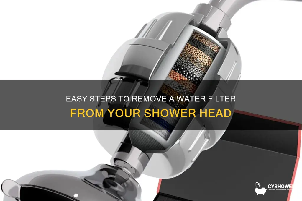 how to remove a water filter from a shower head