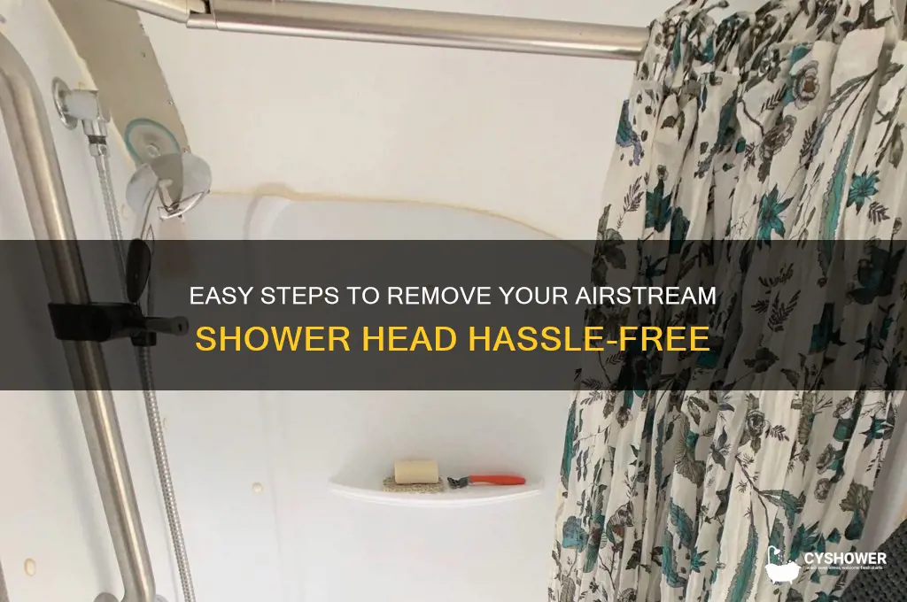 how to remove airstream shower head