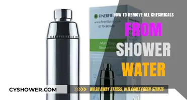 Pure Shower Water: Effective Ways to Eliminate All Chemicals