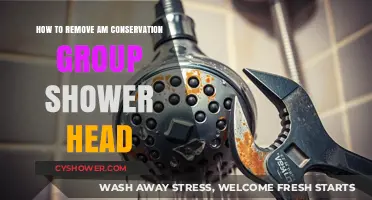 Easy Steps to Remove AM Conservation Group Shower Head