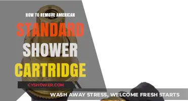 Easy Steps to Remove American Standard Shower Cartridge: DIY Guide