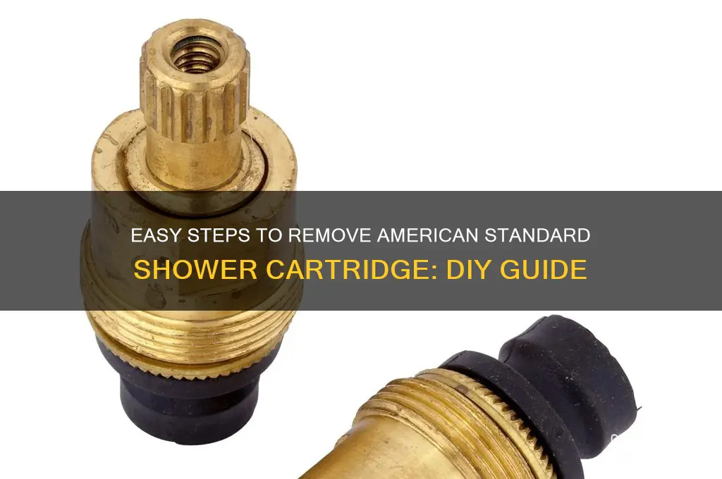 how to remove american standard shower cartridge