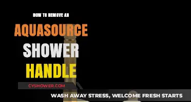 Easy Steps to Remove Your Aquasource Shower Handle