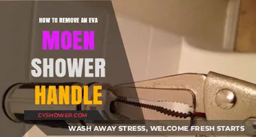 Easy Steps to Remove Your Eva Moen Shower Handle