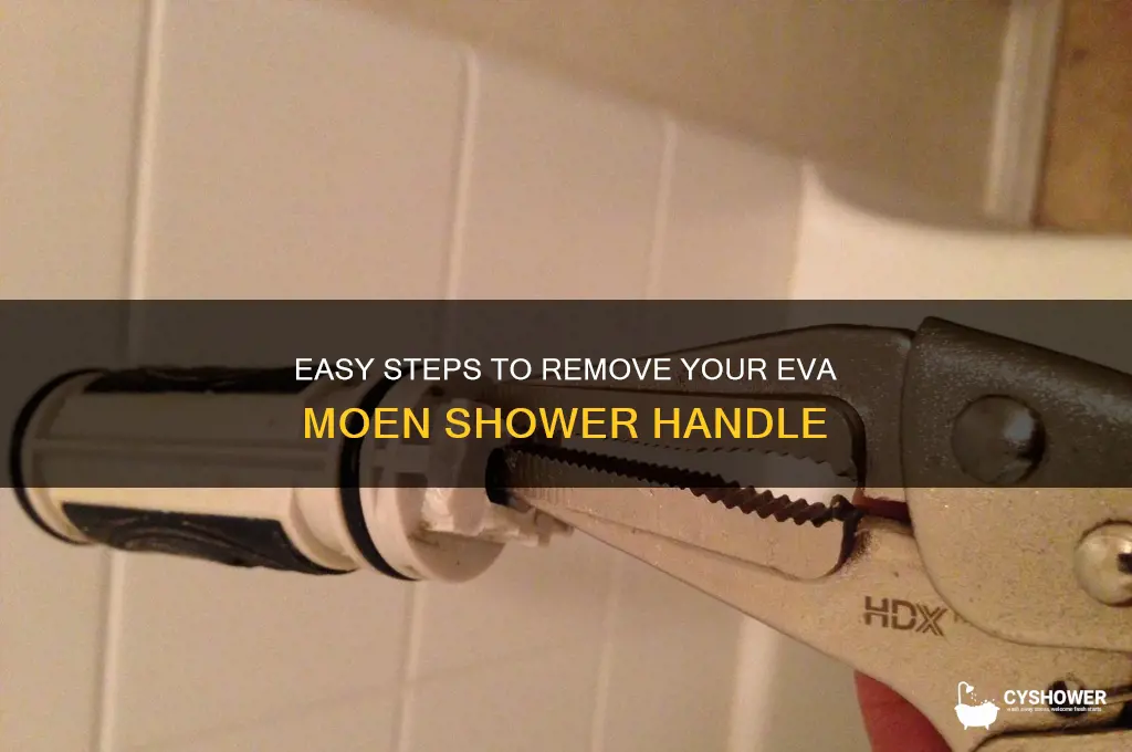 how to remove an eva moen shower handle