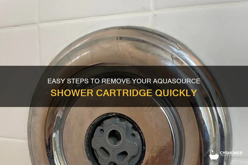 how to remove aquasource shower cartridge