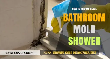 Effective Ways to Eliminate Black Mold in Your Bathroom Shower