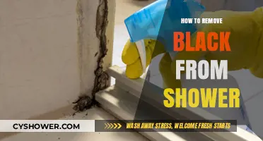 Effective Tips to Remove Black Mold from Your Shower Easily