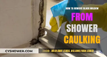 Effective Ways to Remove Black Mildew from Shower Caulking
