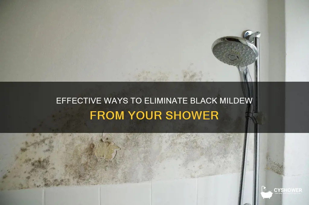 how to remove black mildew from shower