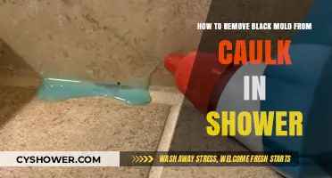 Effective Ways to Remove Black Mold from Shower Caulk