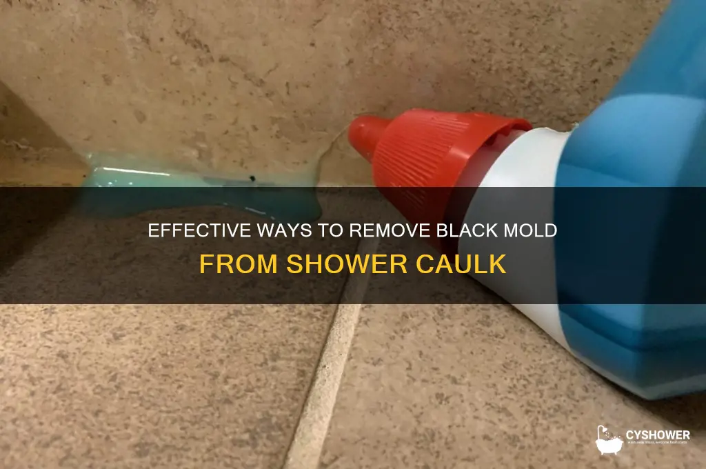 how to remove black mold from caulk in shower
