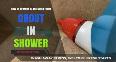 Effective Ways to Eliminate Black Mold from Shower Grout