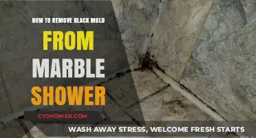 Effective Ways to Remove Black Mold from Marble Showers Safely