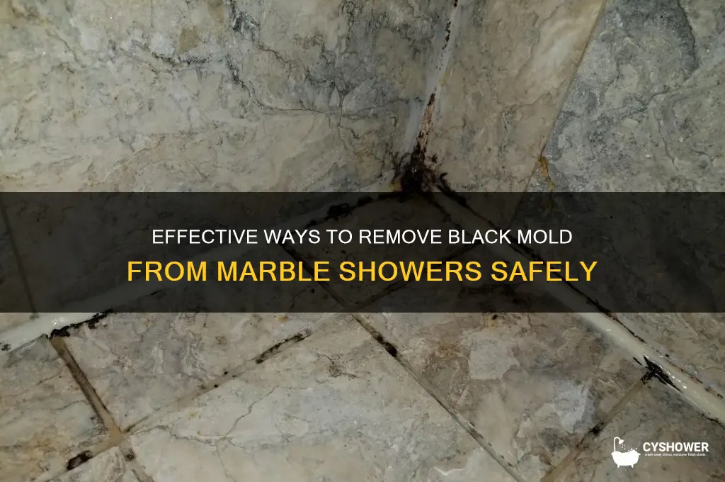 how to remove black mold from marble shower