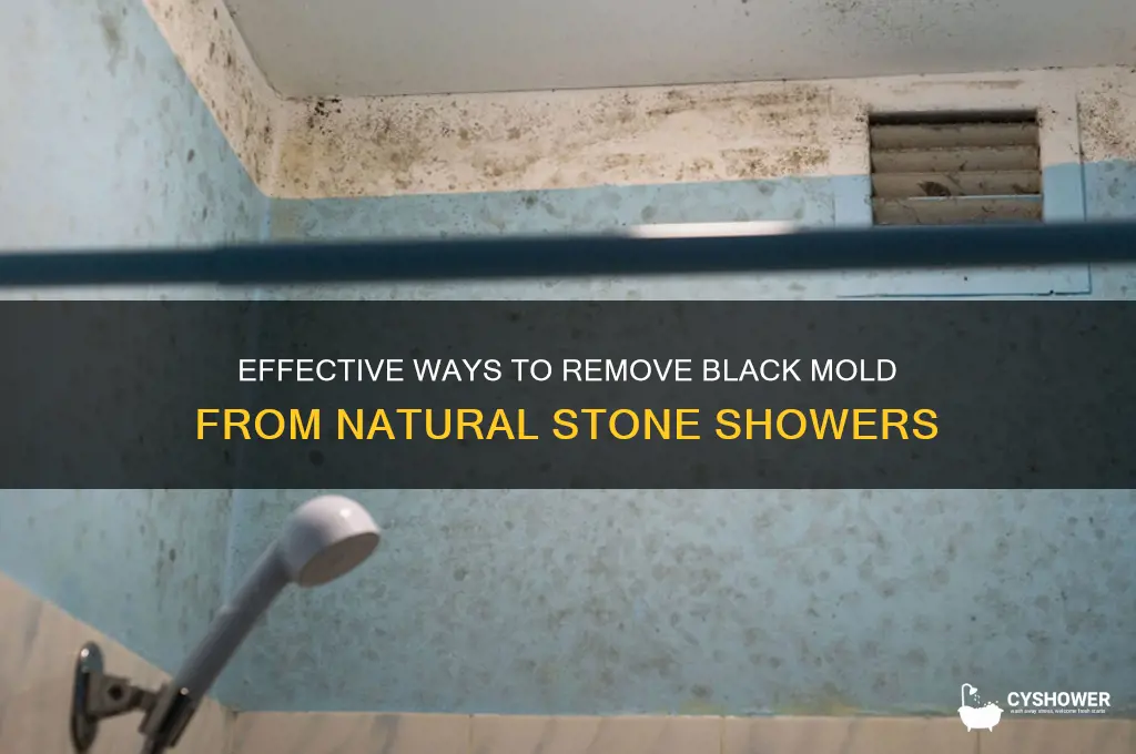 how to remove black mold from natural stone shower