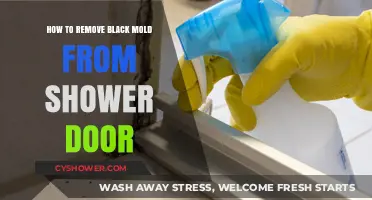 Effective Ways to Eliminate Black Mold from Your Shower Door