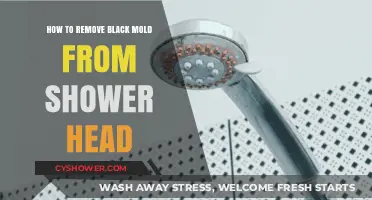 Effective Ways to Eliminate Black Mold from Your Shower Head